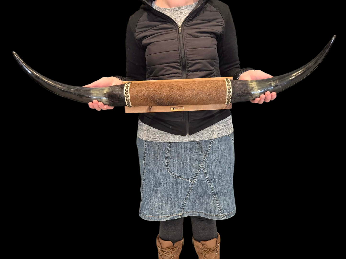 Mounted  Horns - Texas Longhorn (3'2") C#62