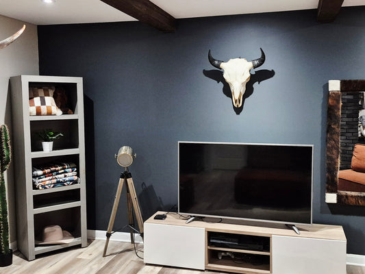 Buffalo Skull (1'8") B#4