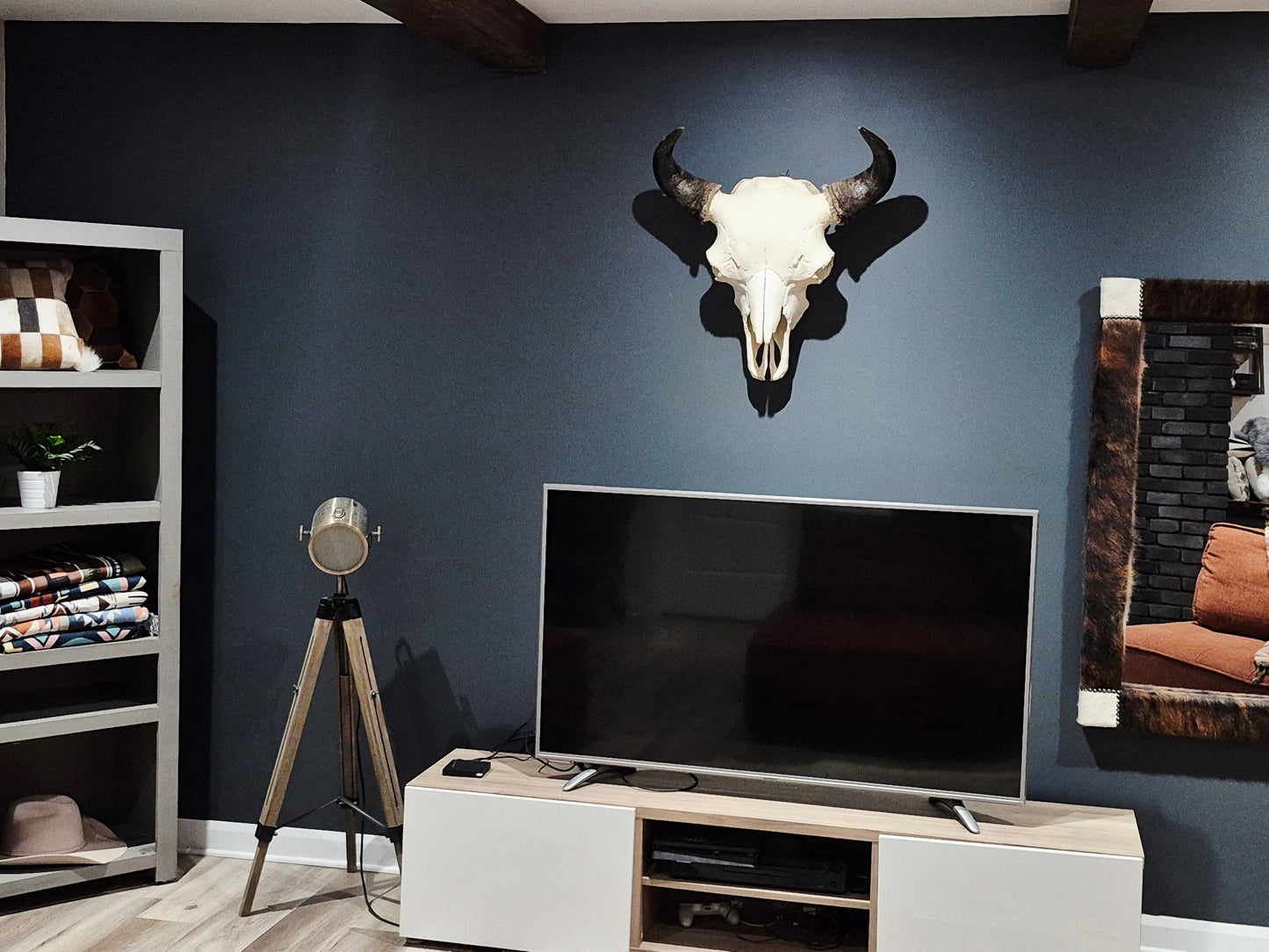 Buffalo Skull (2') B#2