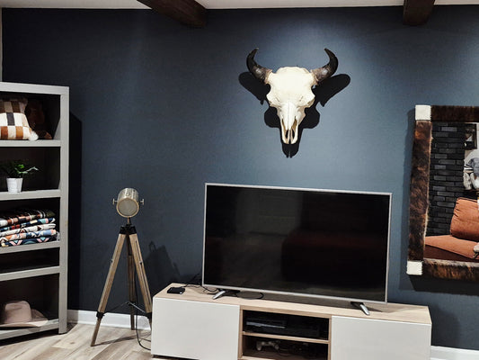 Buffalo Skull (2') B#2