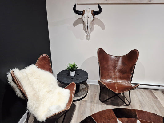 Cow Skull Texas Longhorn (1'6") A#77