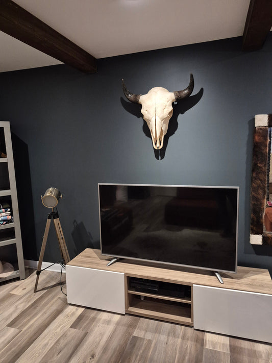 Buffalo Skull (2') B#1