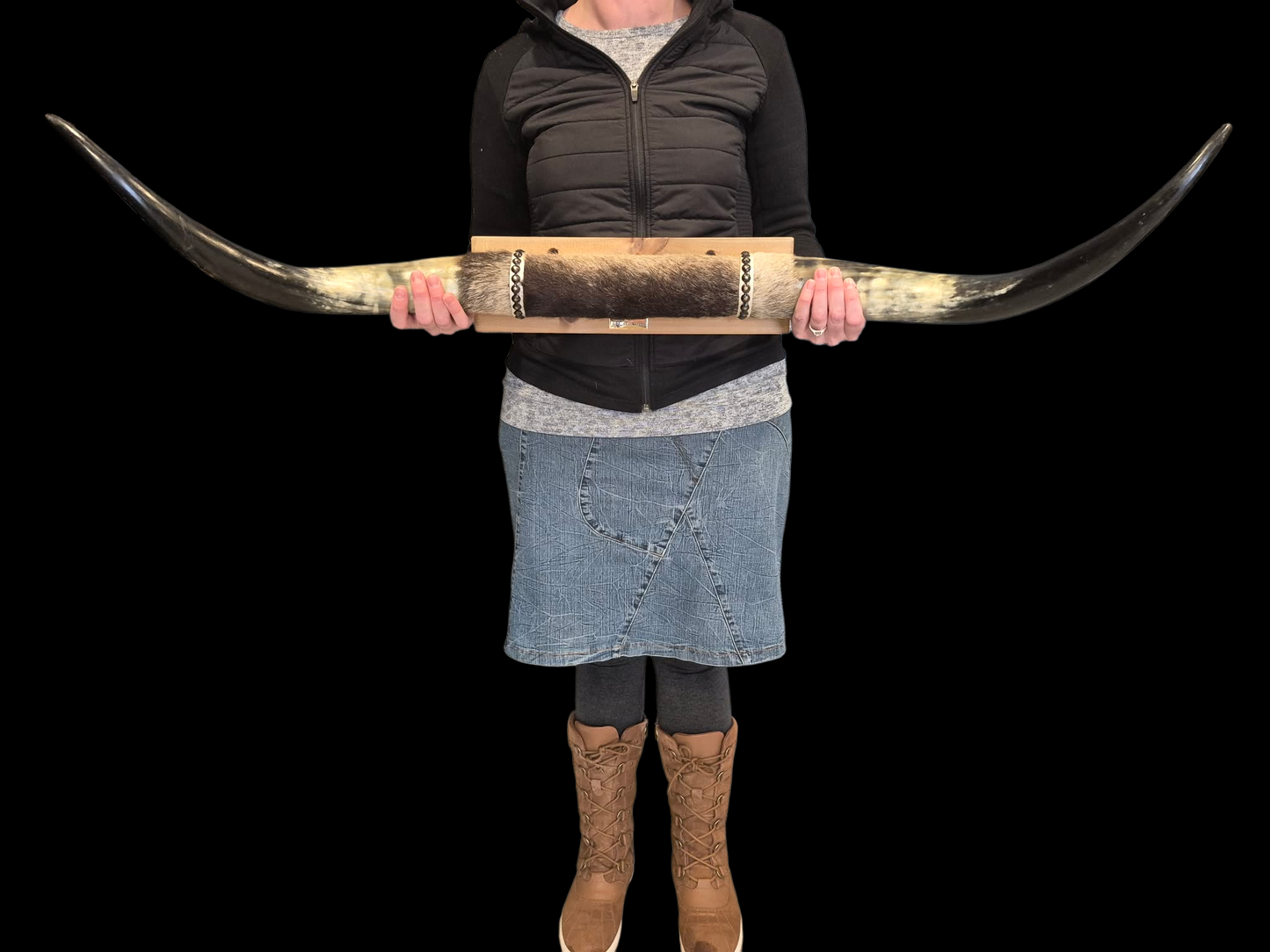 Mounted  Horns - Texas Longhorn (3'8") C#65