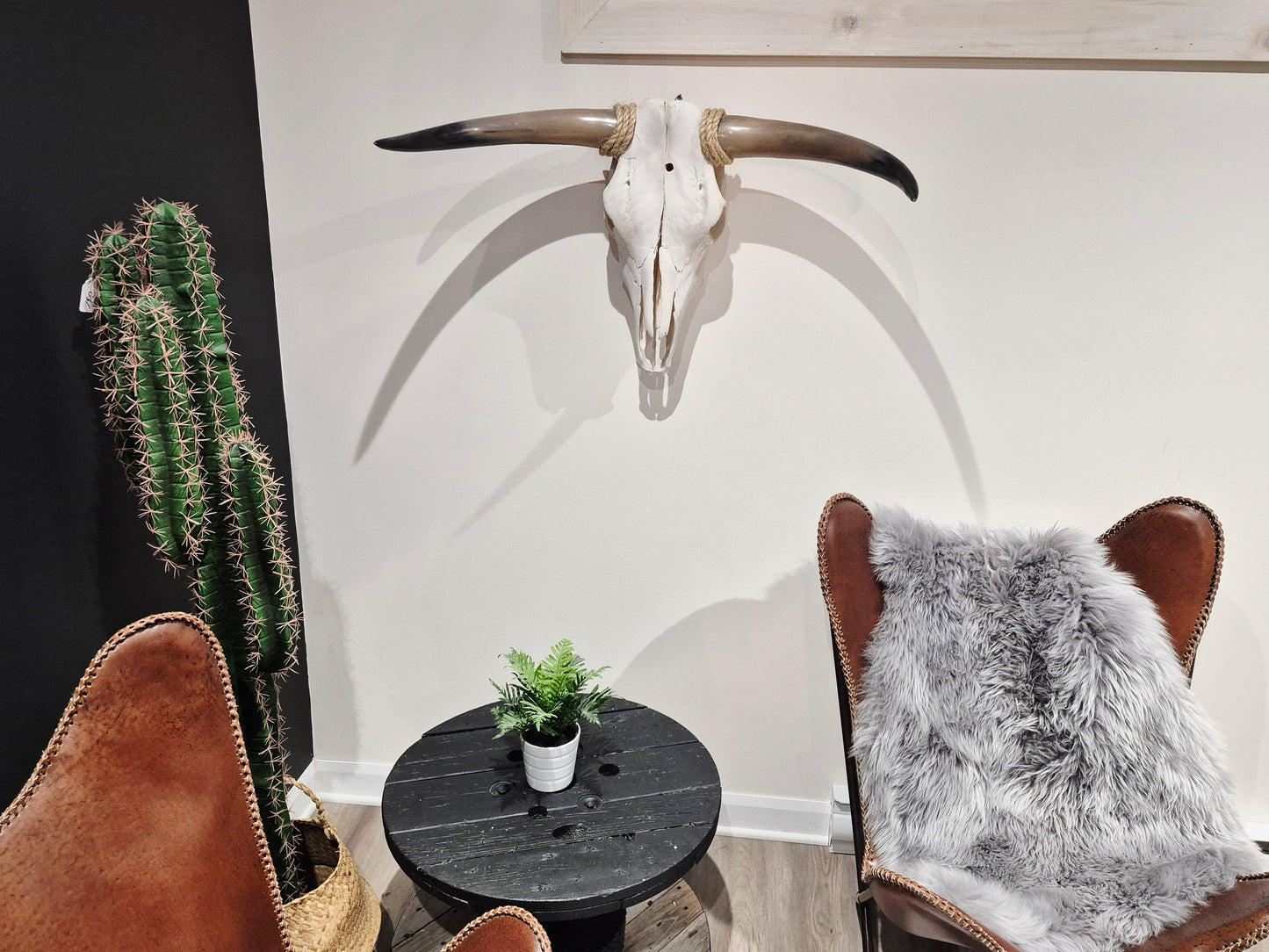 Crâne de vache Texas Longhorn (2'5") A#21