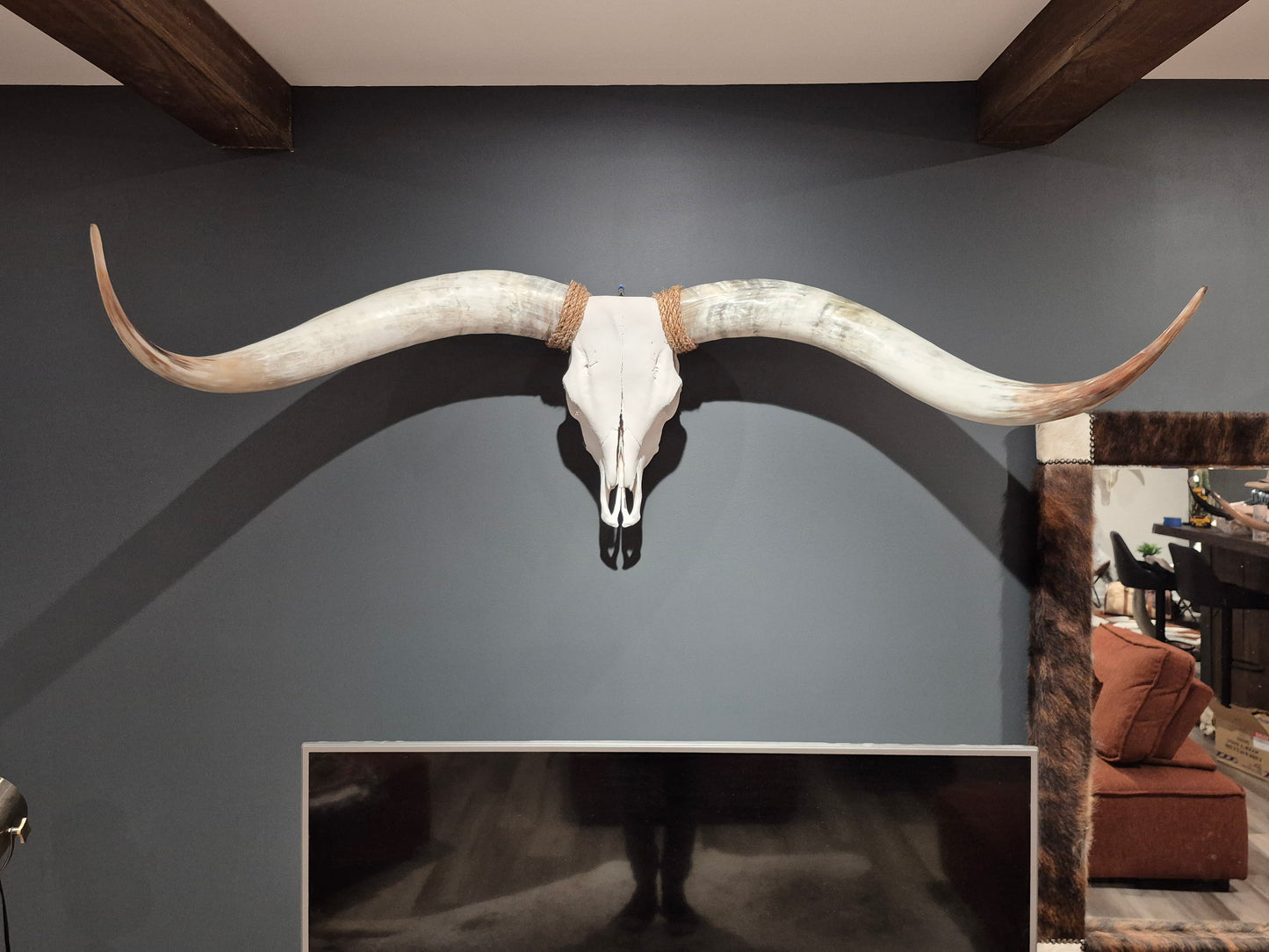 Crâne De Boeuf Texas Longhorn (4'8") A#99