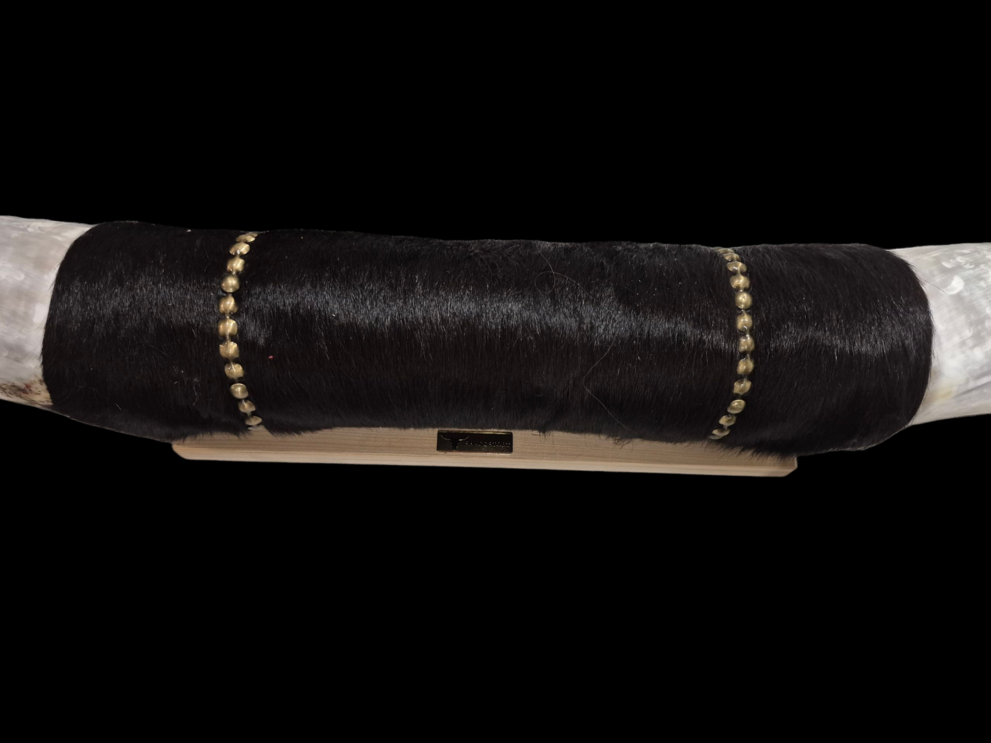 Mounted  Horns - Texas Longhorn (6'2) C#1