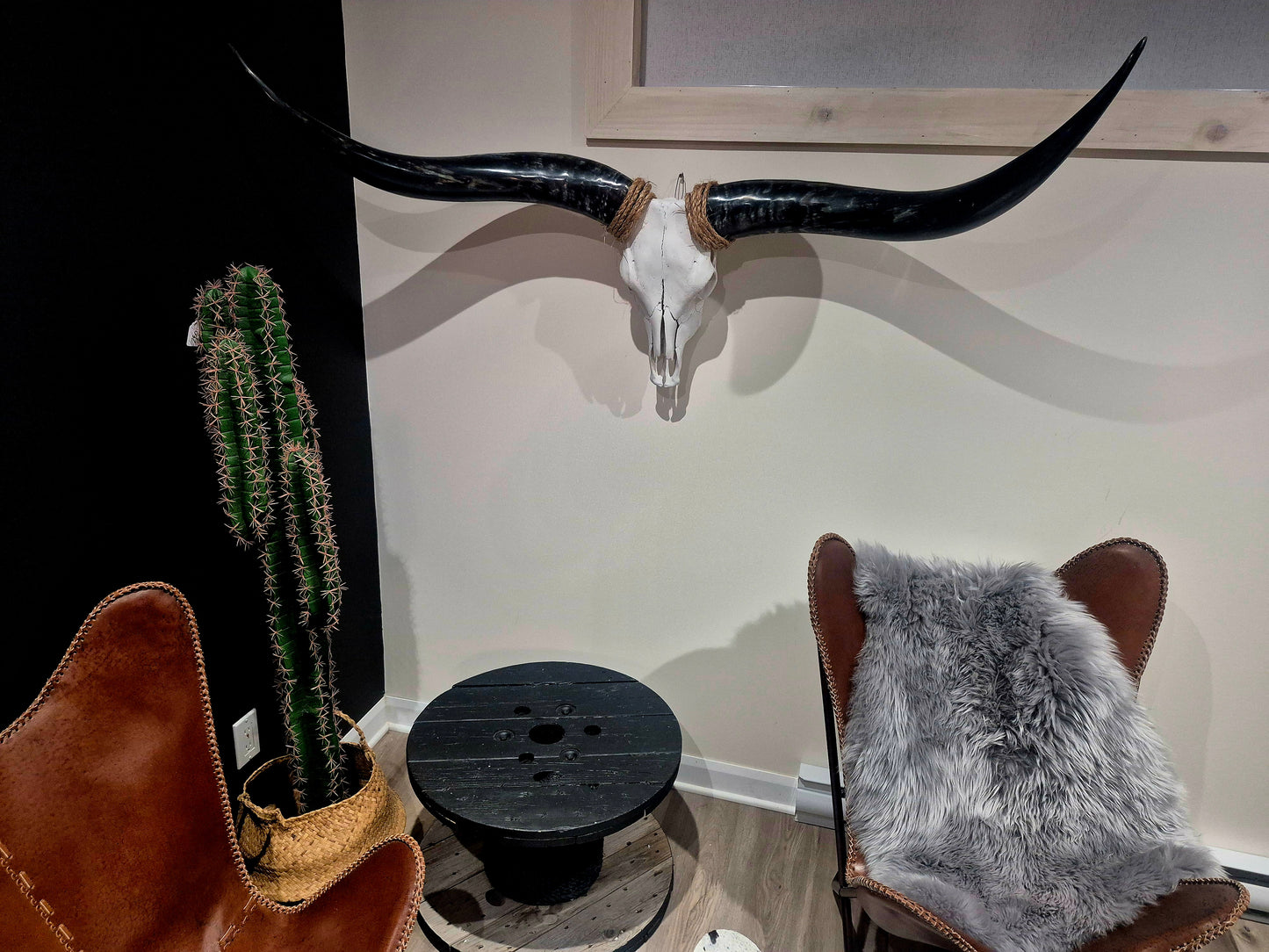 Cow Skull Texas Longhorn (4'11") A#01