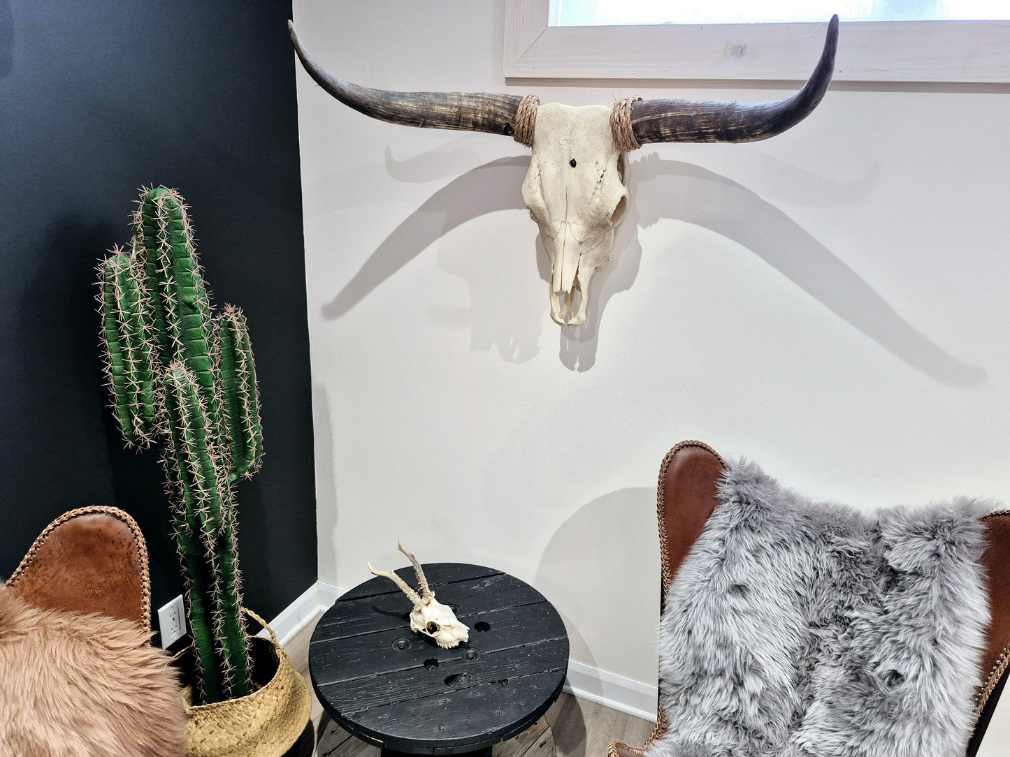 Cow Skull Texas Longhorn (2'11") A#97