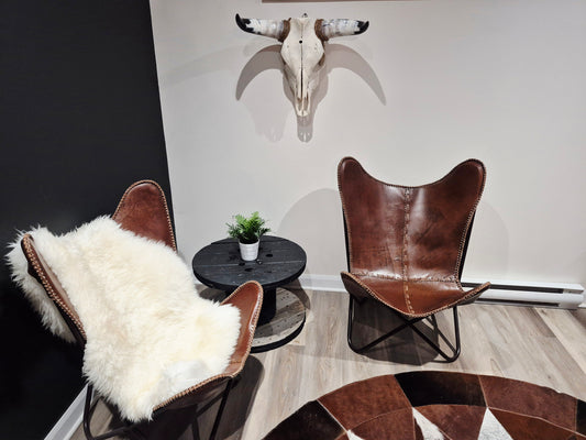 Cow Skull Texas Longhorn (1'10") A#75