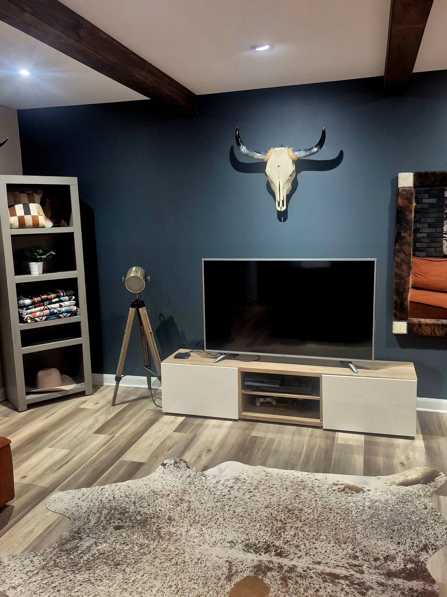 Cow Skull Texas Longhorn (2'1") A#92