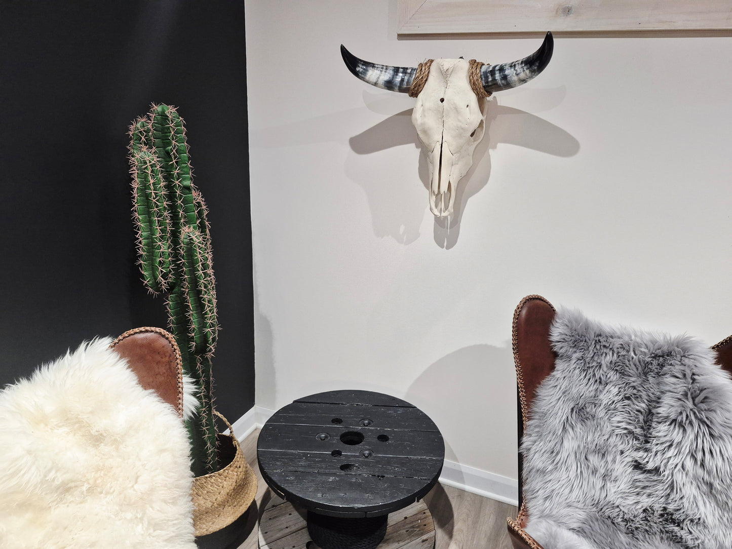 Cow Skull Texas Longhorn (1'10") A#75