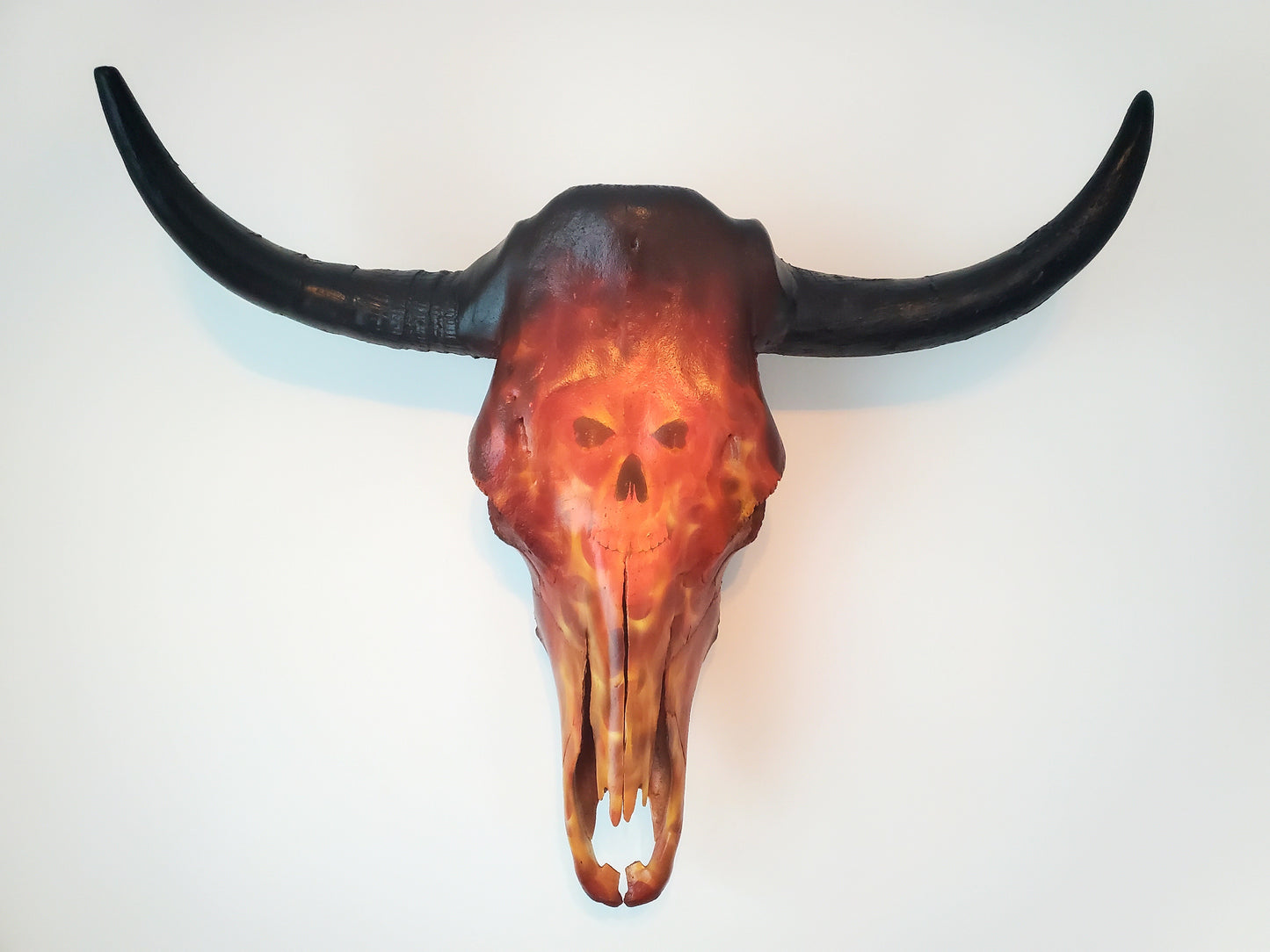 Flames Texas Longhorn