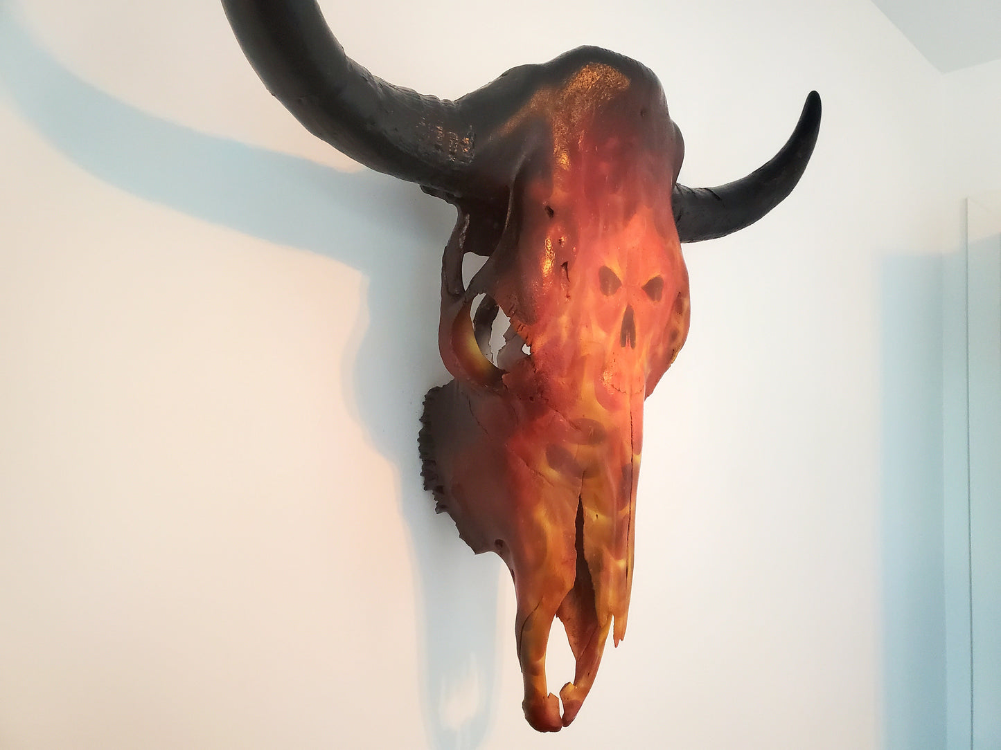 Flammes Texas Longhorn 