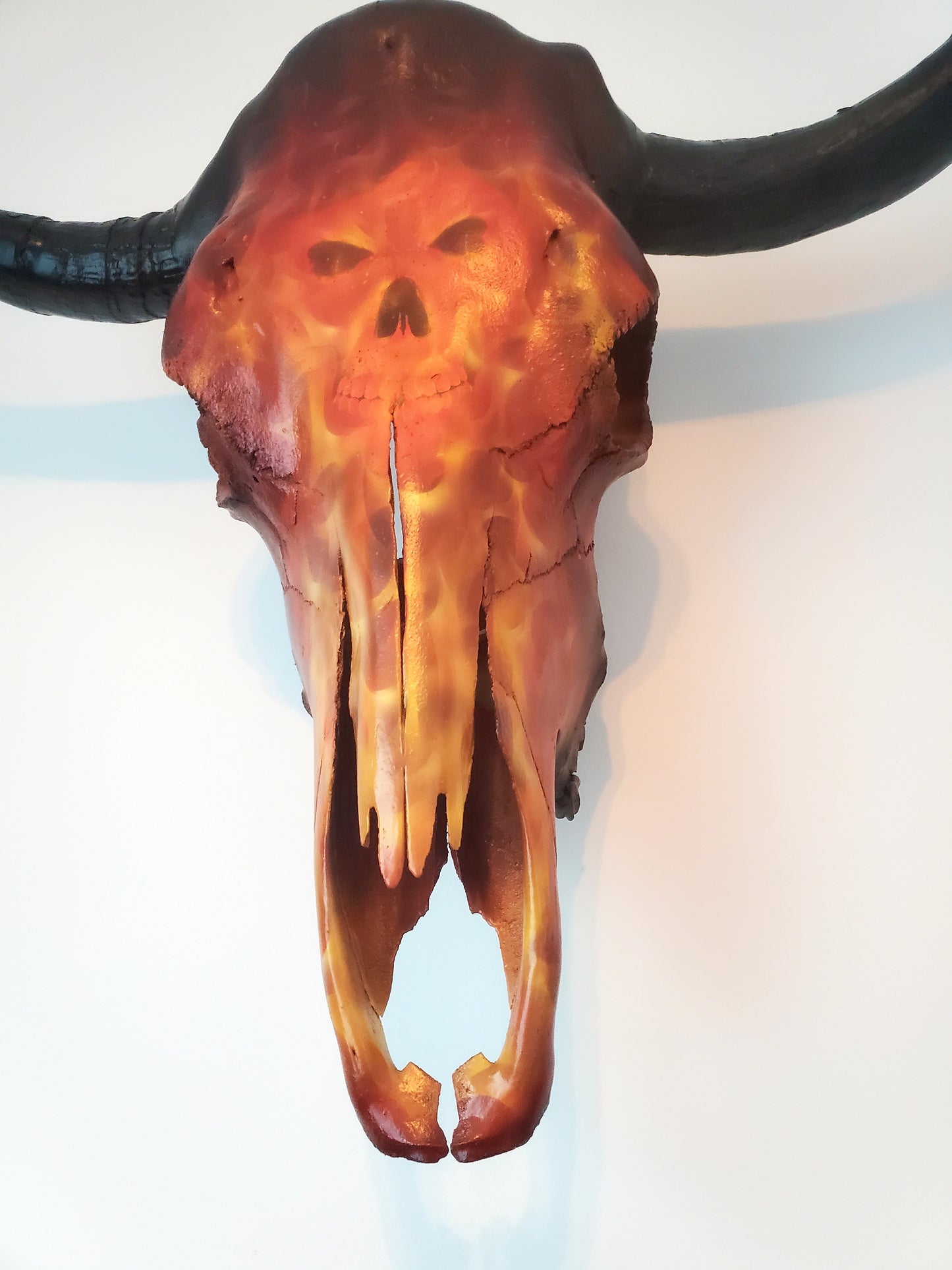 Flames Texas Longhorn