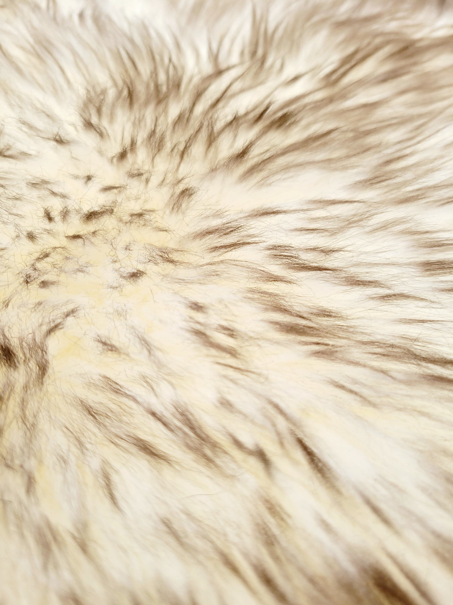 Sheepskin - White and brown